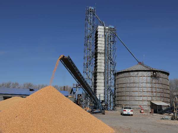 燒煤改燒秸稈大包直燃熱風爐，烘干成本省一半