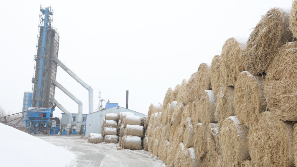 煤炭價格高，烘糧利潤低，吉林大安市500噸糧食烘干塔改用秸稈大包直燃鍋爐，每天省3萬