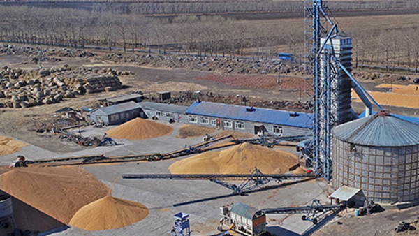 糧食烘干合作社如何做到年節(jié)省90萬元？利民萬佳鍋爐為您解析